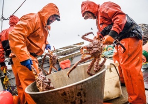 Pescadores en temporada de pesca de cangrejo real