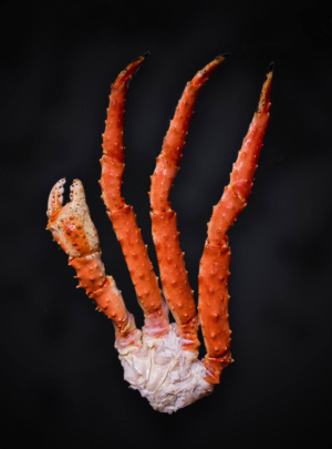 Patas de Cangrejo Real cocido