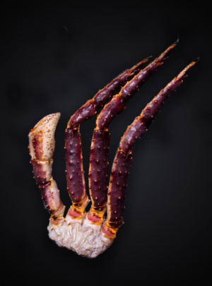 Patas de Cangrejo Real crudo