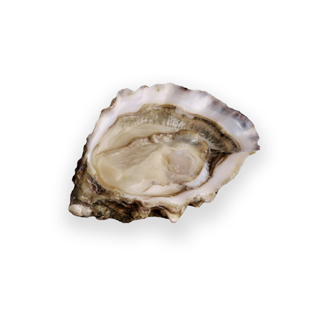 Ostra Fine de Huitres Hervé