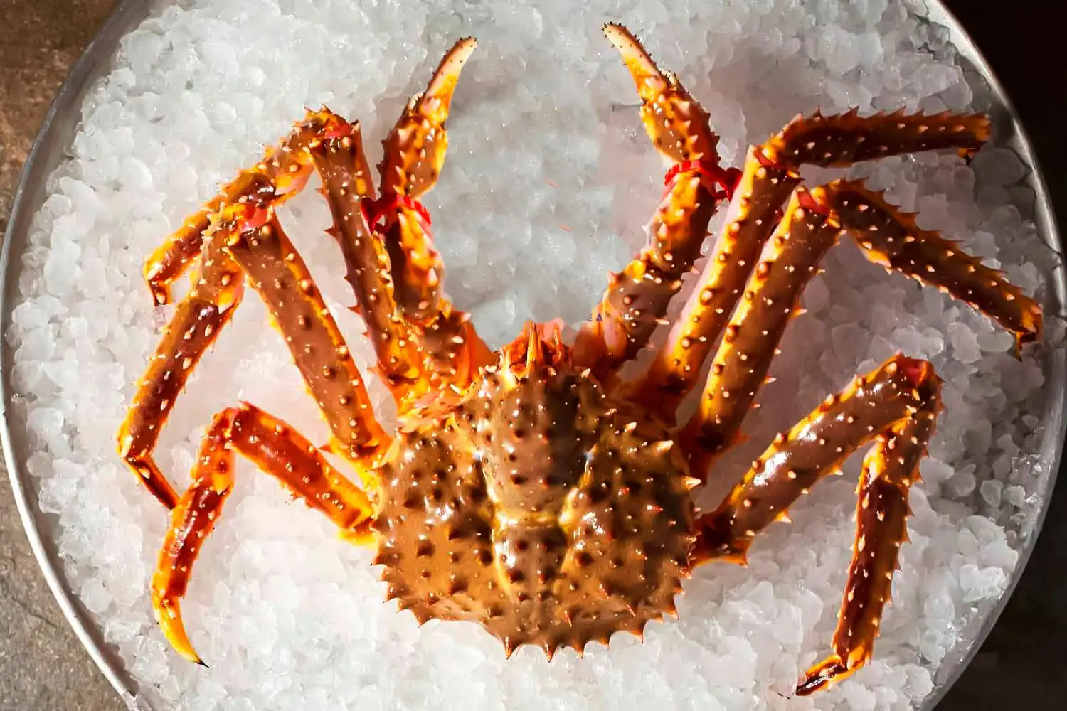 King Crab portada